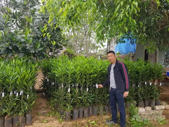 Ông Dương Tiến Thành, Giám đốc Công ty TNHH Thương mại và Dịch vụ Bảo Ngọc  phấn khởi khi vườn ươm giống mắc ca phát triển tốt, đảm bảo các tiêu chuẩn kỹ thuật. 
